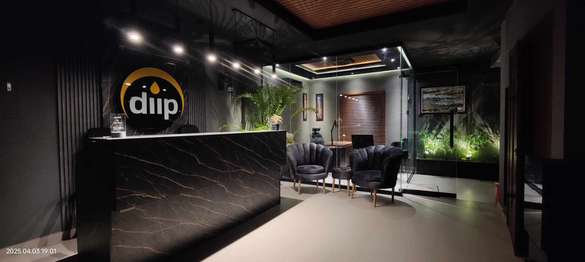 The reception at Diip House, Lahore